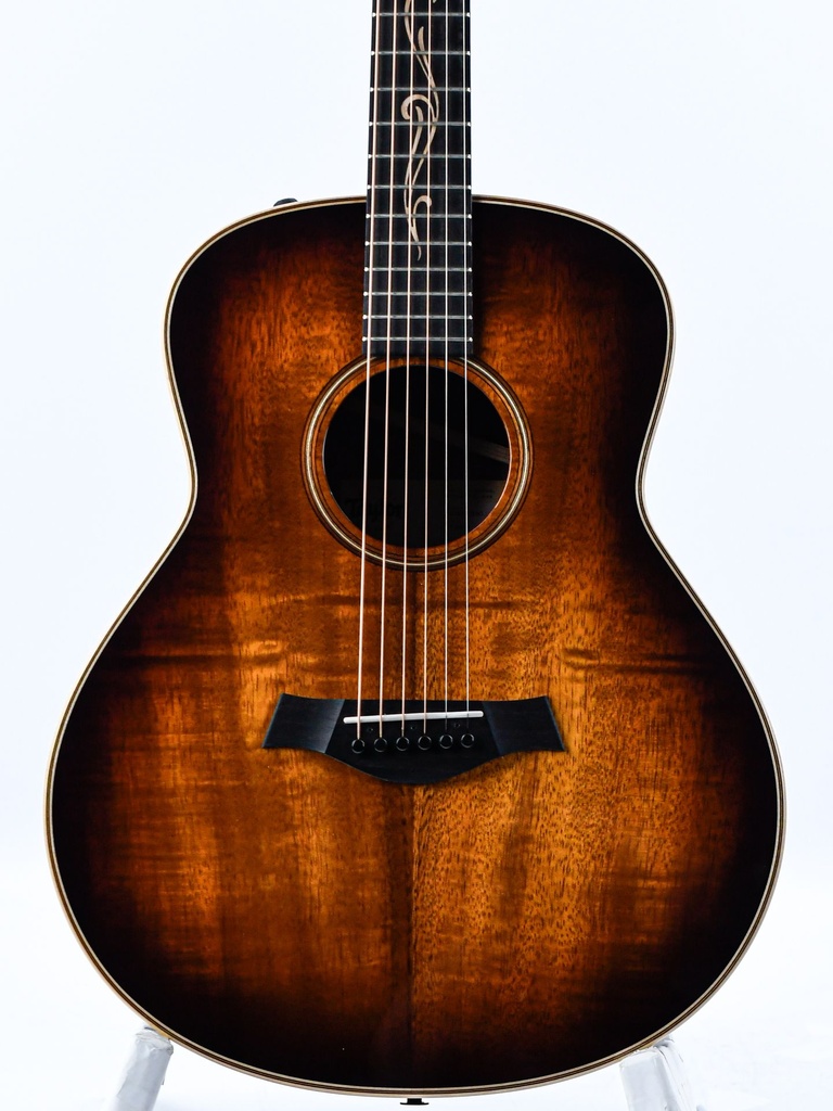 Taylor GT K21e-3.jpg