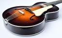 [13658] Epiphone Zenith Sunburst Masterbilt 1939-11.jpg