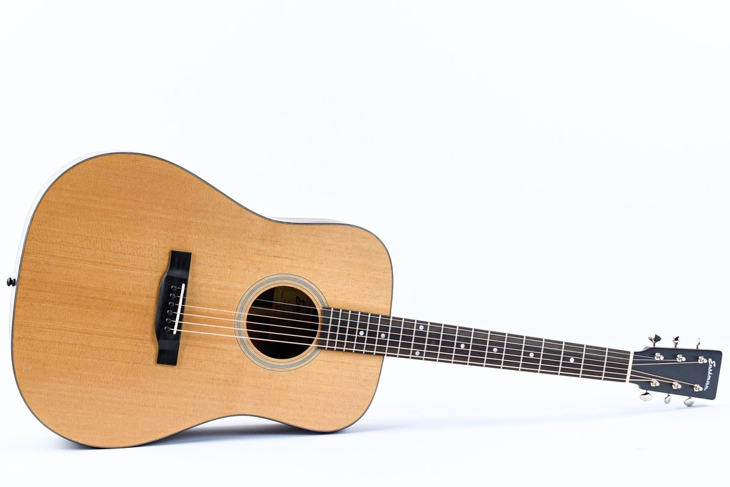 Eastman E1D Dreadnought Lefty-15.jpg