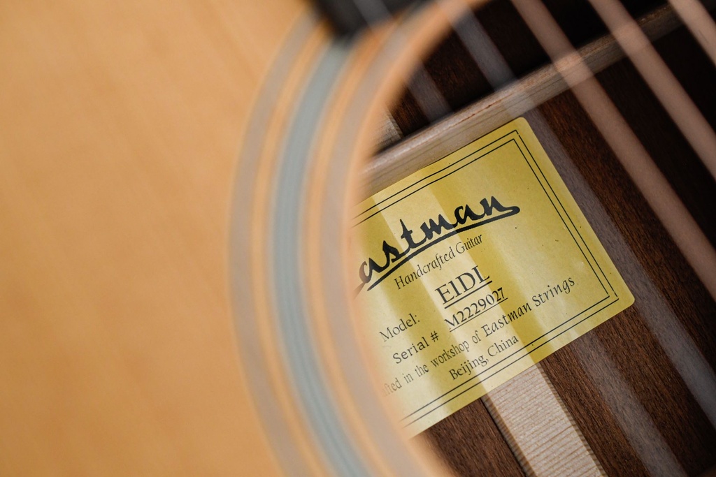 Eastman E1D Dreadnought Lefty-11.jpg