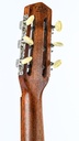 Di Mauro Jazz Chorus Deluxe 1940s-5.jpg