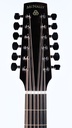 Ciaran Mcnally P12 Sunburst 12 string Custom-5.jpg