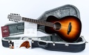 Ciaran Mcnally P12 Sunburst 12 string Custom.jpg