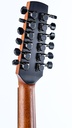 Ciaran Mcnally P12 Sunburst 12 string Custom-6.jpg