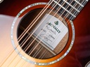 Ciaran Mcnally P12 Sunburst 12 string Custom-13.jpg