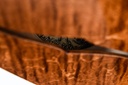 Collings I35LC Walnut-13.jpg