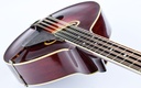 [39763] Gibson Mandocello K2 1917-18-8.jpg