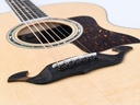 Taylor Legacy 815e-10.jpg