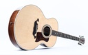 Taylor Legacy 815e-13.jpg