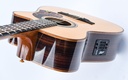 Maton Messiah EM100C 808-8.jpg