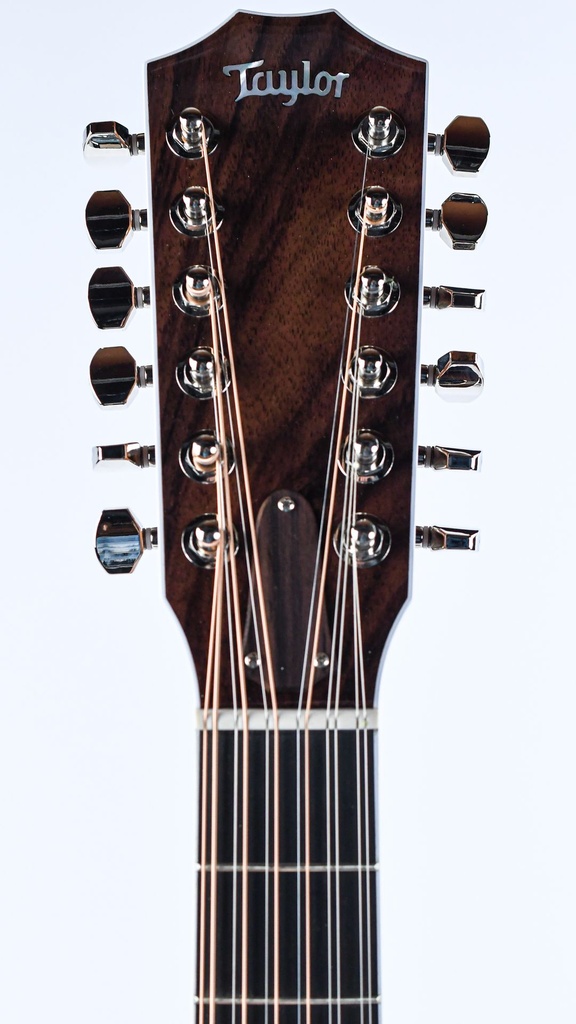 Taylor Legacy 855e-4.jpg