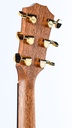 Taylor Legacy 714ce-5.jpg