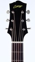 Collings CJ45 AT 2023-4.jpg