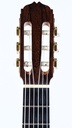 George Lowden Classic Cedar Brazilian Rosewood 1991-4.jpg