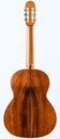 George Lowden Classic Cedar Brazilian Rosewood 1991-7.jpg