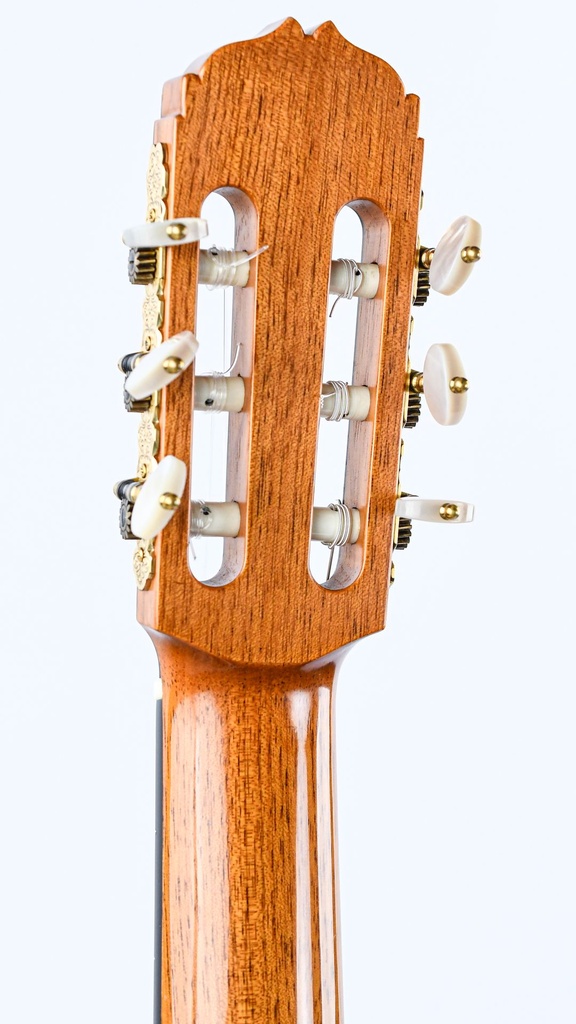 George Lowden Classic Cedar Brazilian Rosewood 1991-5.jpg