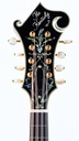 Kentucky KM1500 Master Serie F Style Mandolin 2022-4.jpg