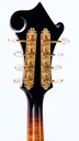 Kentucky KM1500 Master Serie F Style Mandolin 2022-5.jpg