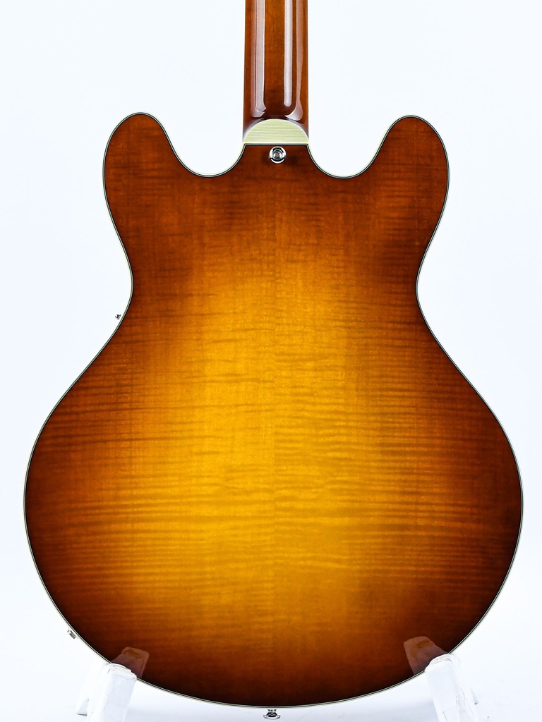 Eastman T486 Goldburst B-Stock-6.jpg