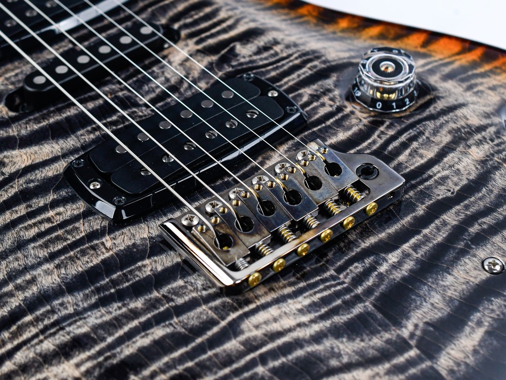 [0378795] PRS Wood Library Modern Eagle V Burnt Maple Leaf 2024-10.jpg