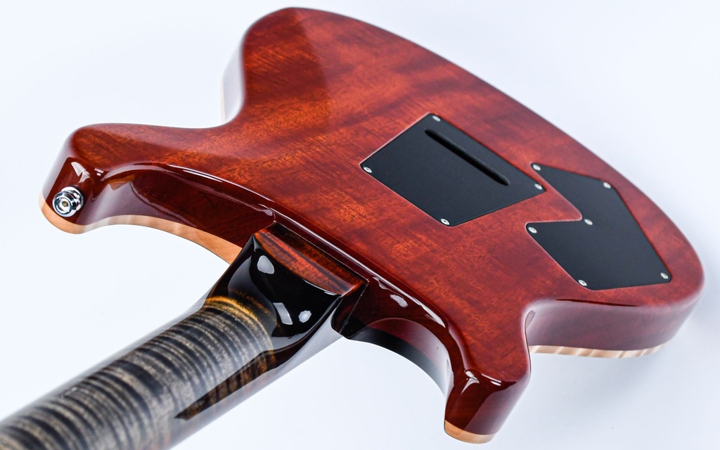 [0378795] PRS Wood Library Modern Eagle V Burnt Maple Leaf 2024-9.jpg