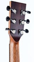 BSG GA31CF Cocobolo Torrefied European Spruce-5.jpg