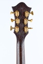 Stroup Archtop 2004-6.jpg