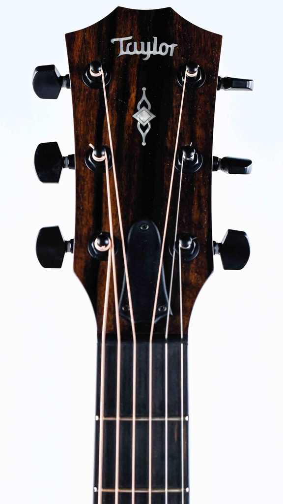 Taylor 324ce 2019-4.jpg