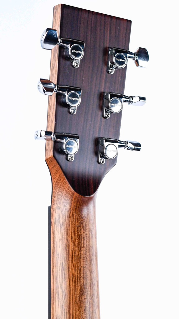 BSG DS10F Mahogany Sitka Spruce-5.jpg