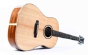 BSG DS10F Mahogany Sitka Spruce-13.jpg