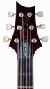 PRS S2 594 Sunburst 2022-4.jpg