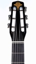 Eastman DM1 Gypsy Jazz 2023-4.jpg