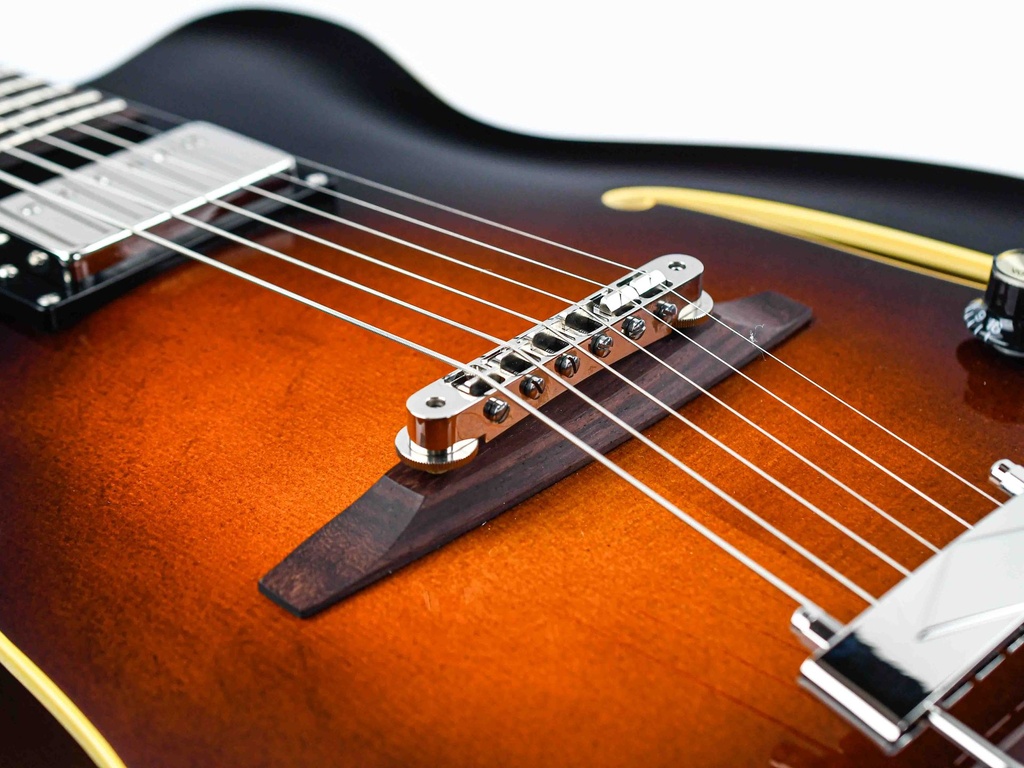 Lukas Schmidt 15 3-8  Sunburst Archtop-10.jpg