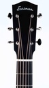 Eastman E6SS TC Truetone Sunburst-4.jpg