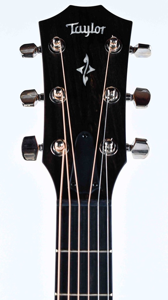 Taylor 414ce-R Sunburst-4.jpg