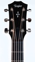 Taylor 414ce-R Sunburst-4.jpg