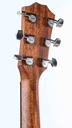 Taylor 414ce-R Sunburst-5.jpg