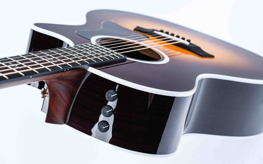 Taylor 414ce-R Sunburst-8.jpg