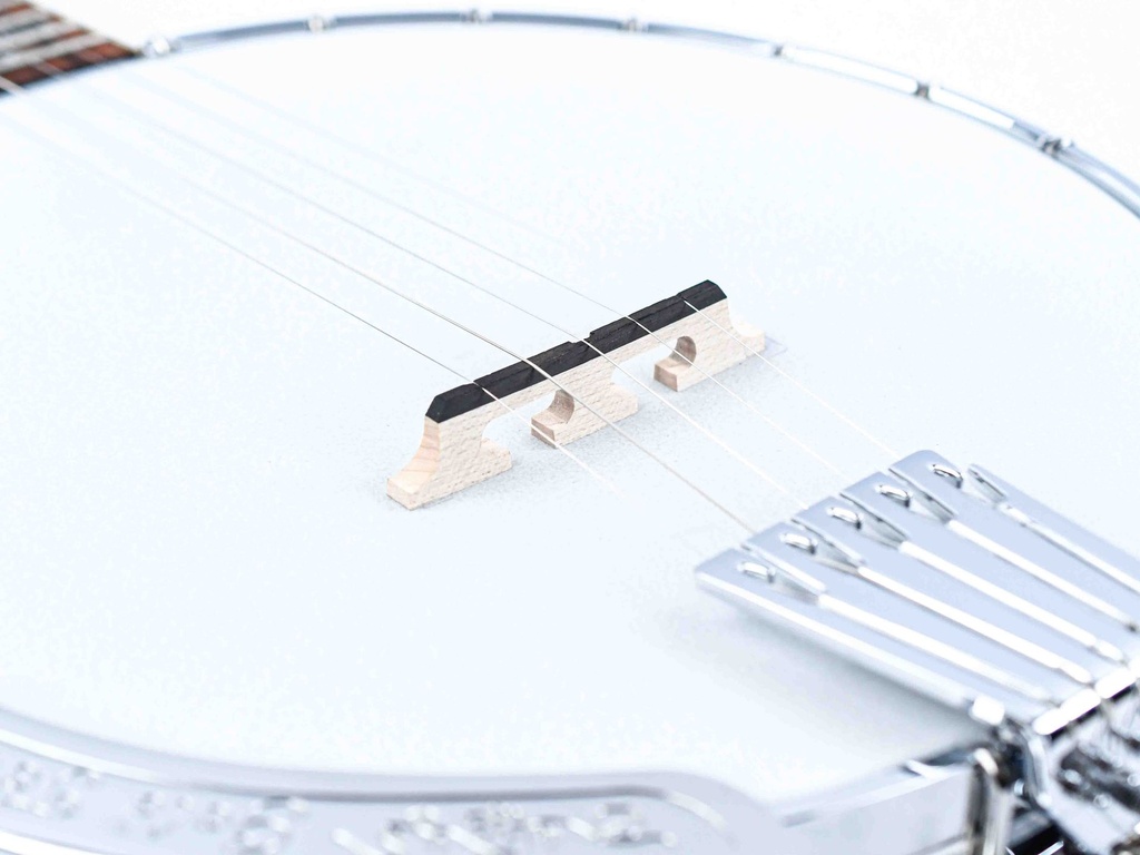 Gold Tone OB-150 5-String Banjo 2023-10.jpg