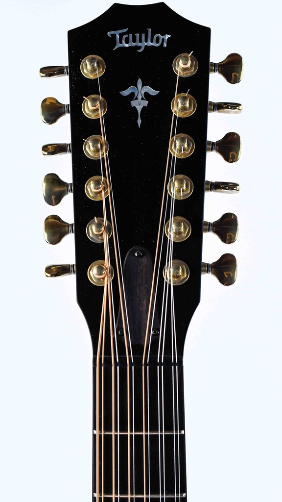 [1211031103] Taylor 652CE Builder's Edition 12 String 2021-4.jpg