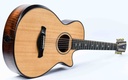 [1211031103] Taylor 652CE Builder's Edition 12 String 2021-12.jpg