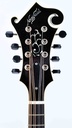 Northfield NFB F5A Standard Sunburst-4.jpg