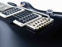 PRS Custom 24 Black Top Natural Back-10.jpg