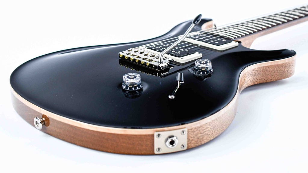 PRS Custom 24 Black Top Natural Back-11.jpg