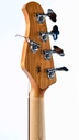 Music Man Stingray Special 5 Genius Gold-6.jpg