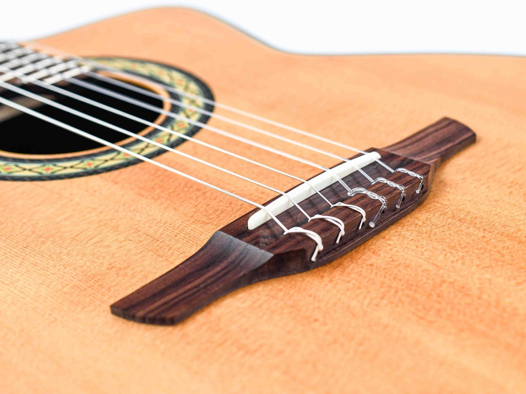 Takamine TC135SC Crossover Nylong 2019-10.jpg