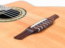 Takamine TC135SC Crossover Nylong 2019-10.jpg