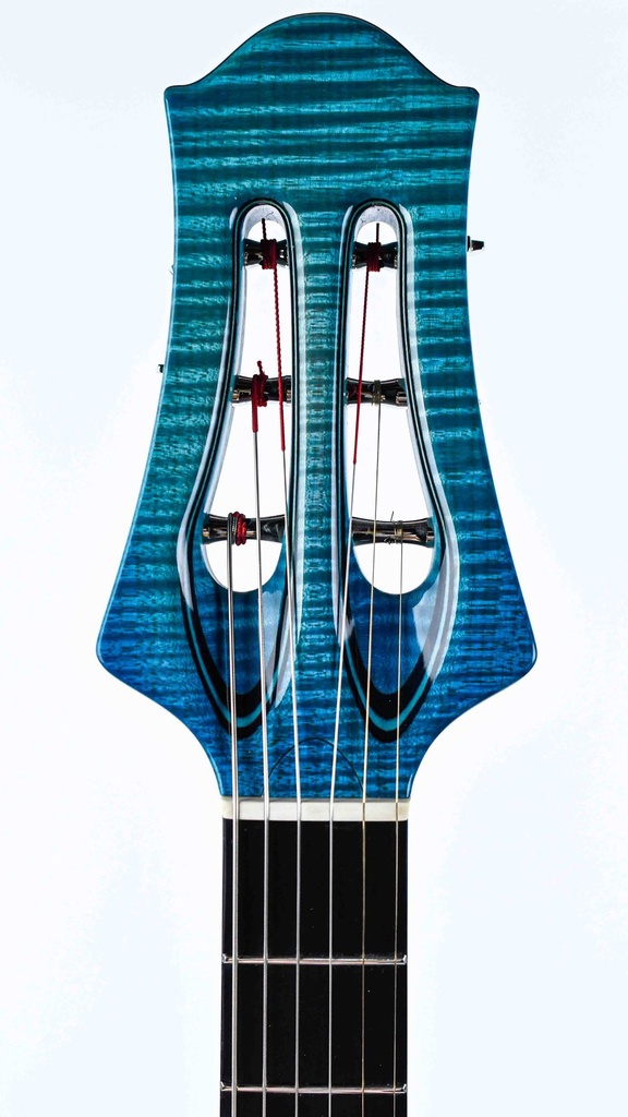 Theo Scharpach Master Guitars Archtop Blue Vienna 2015-4.jpg