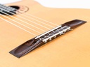 Scharpach Concert Brazilian Rosewood Spruce 2008-11.jpg