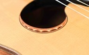 Scharpach Concert Brazilian Rosewood Spruce 2008-12.jpg